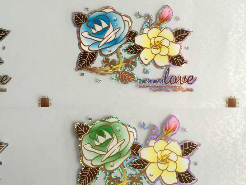 愛普生l850打印機能不能熱轉印？